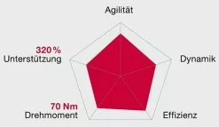 Brose Motor 250 Watt Drive-T Mag Ab 2020 (neu) -Pegasus Verkäufe Brose Motor Drive T MAG 2020c