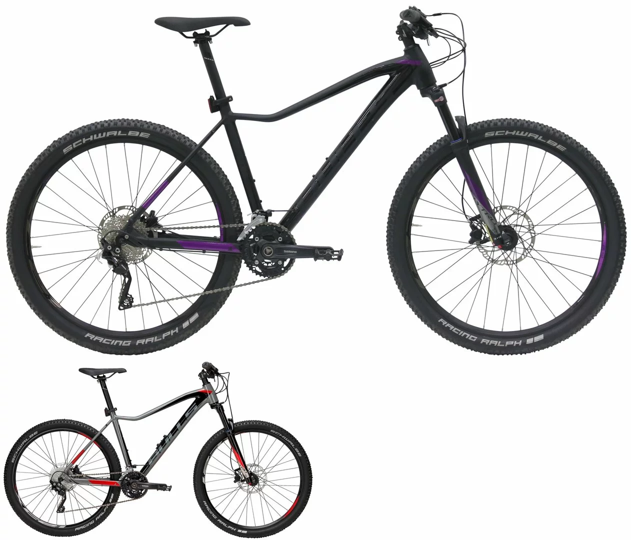 Bulls Aminga 27½-Zoll 2019 1 Bulls Aminga 27½-Zoll 2019