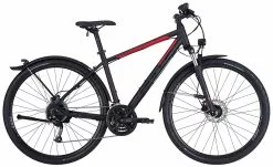 Bulls Street Flyer 2022