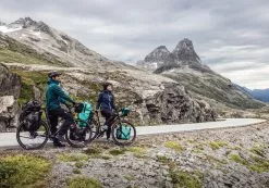 ORTLIEB Back-Roller Free QL2.1 -Pegasus Verkäufe Free Bild2