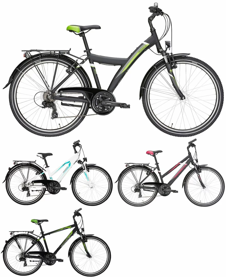 Pegasus Avanti 2018 21-Gang 1 Pegasus Avanti 2018 21-Gang