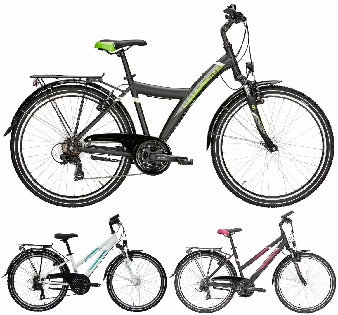 Pegasus Avanti 2019 21-Gang 1 Pegasus Avanti 2019 21-Gang