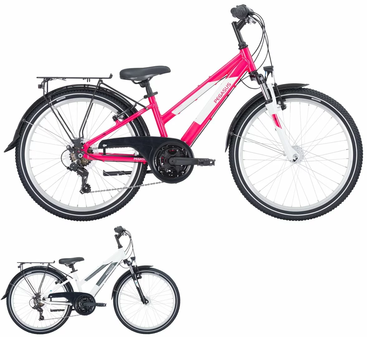 Pegasus Avanti 2023 18-Gang 1 Pegasus Avanti 2023 18-Gang