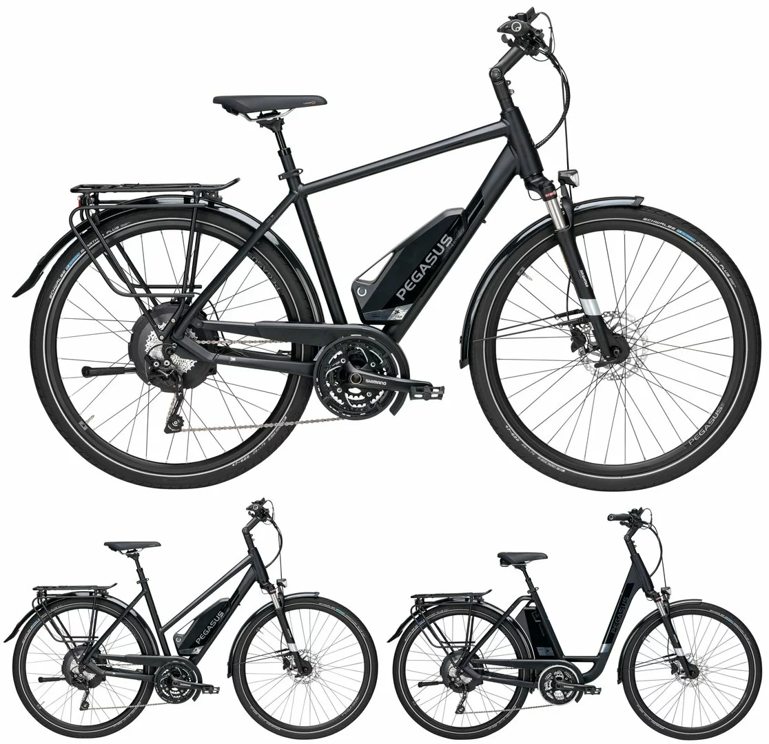 Pegasus Lavida-Plus 30-Gang 2019 1 Pegasus Lavida-Plus 30-Gang 2019