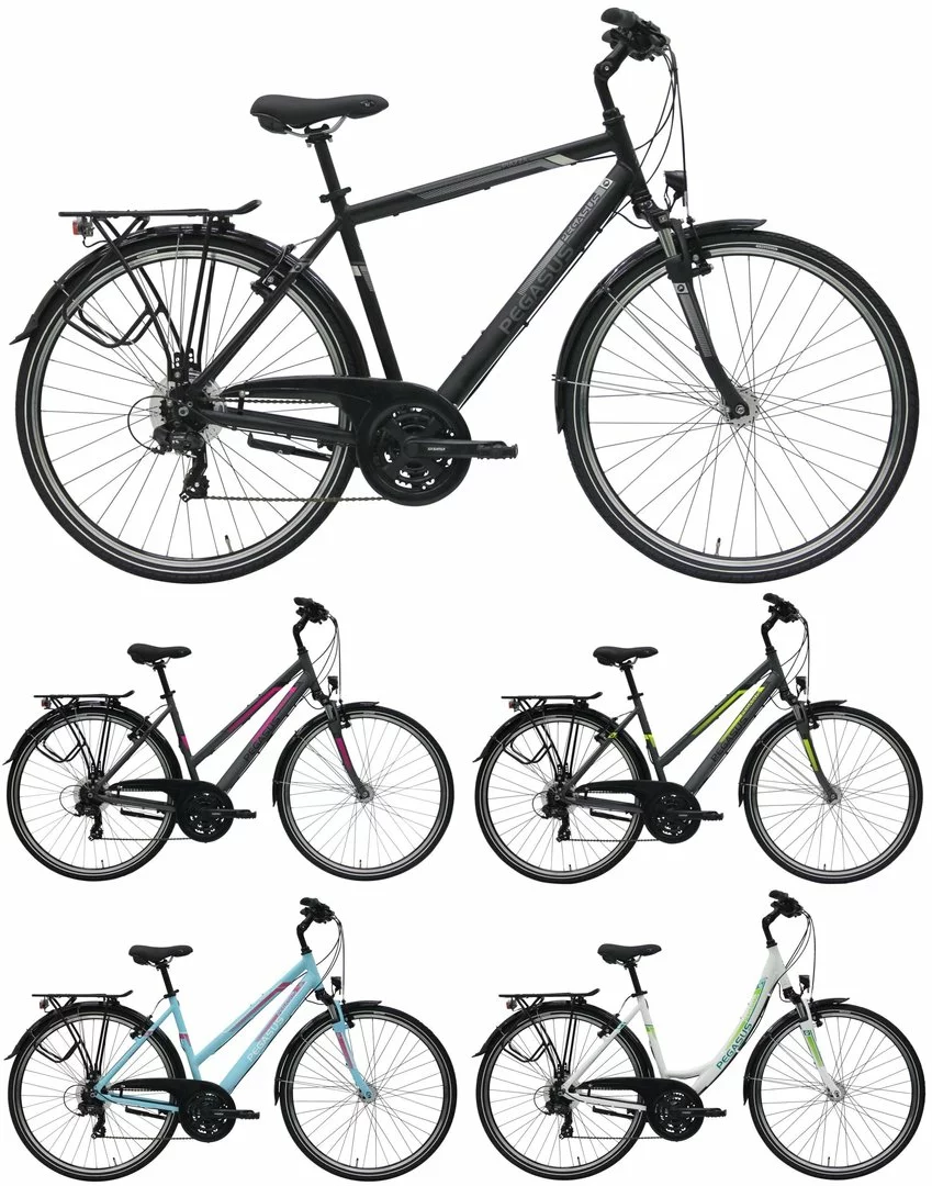 Pegasus Piazza 2018 21-Gang 1 Pegasus Piazza 2018 21-Gang