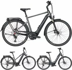 Pegasus Premio-Evo-12 Lite 2020