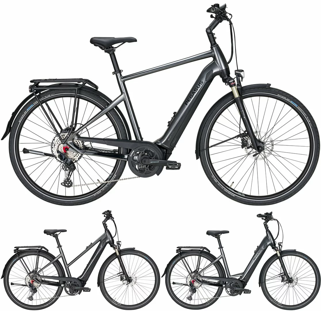 Pegasus Premio-Evo-12 Lite 2020 1 Pegasus Premio-Evo-12 Lite 2020