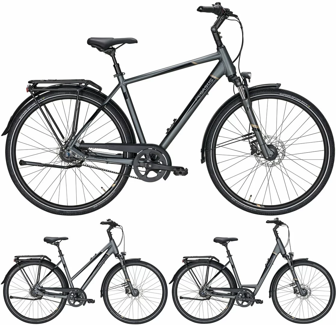 Pegasus Premio SL-Belt 2020-2021 8-Gang 1 Pegasus Premio SL-Belt 2020-2021 8-Gang