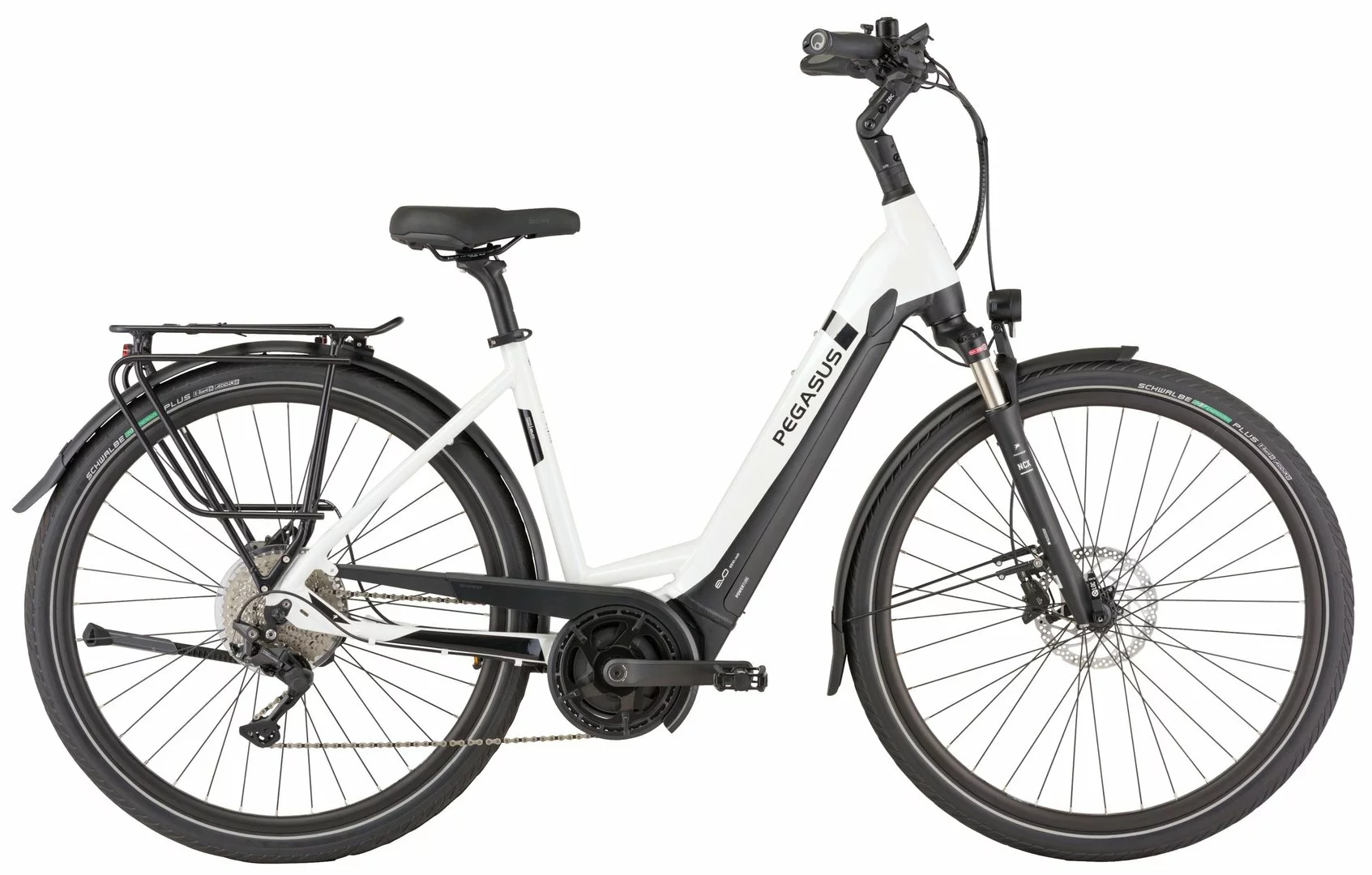 Pegasus Strong Evo-10 2021 4 Pegasus Strong Evo-10 2021 – Bild 4