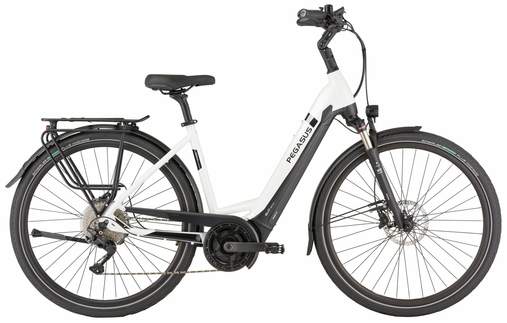 Pegasus Strong-Evo-10 2022 4 Pegasus Strong-Evo-10 2022 – Bild 4